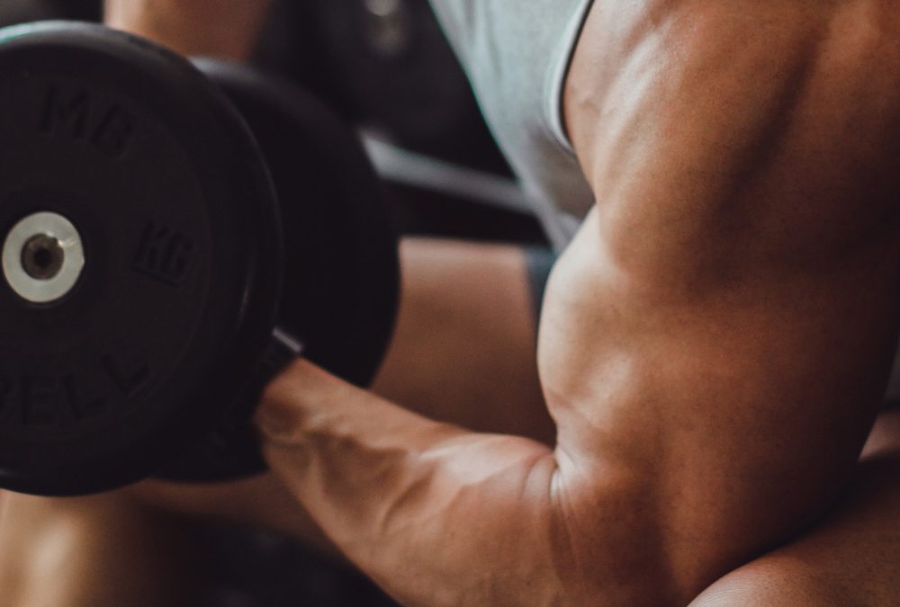 The Rise of American Stallion: Rebuilding the Modern Man